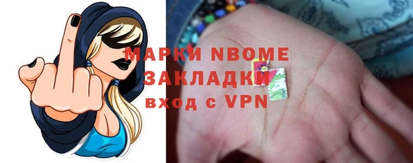 прущие грибы Абаза