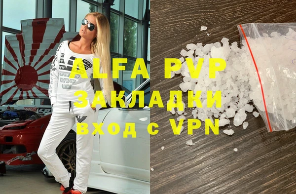 прущие грибы Абаза