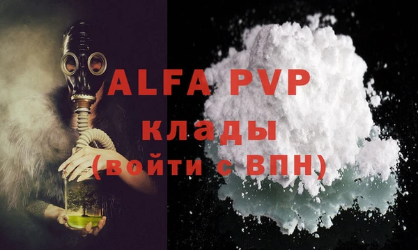 прущие грибы Абаза