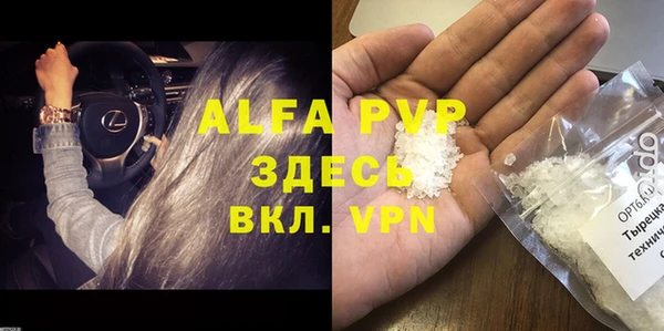прущие грибы Абаза