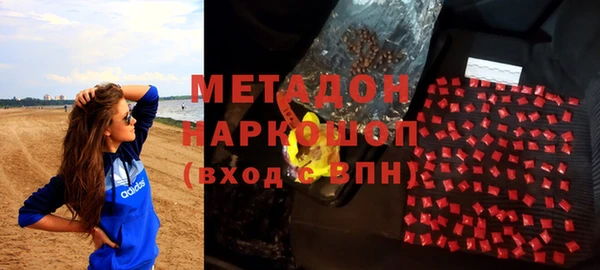прущие грибы Абаза