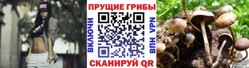 цена наркотик  Уфа  omg сайт  Галлюциногенные грибы мицелий 